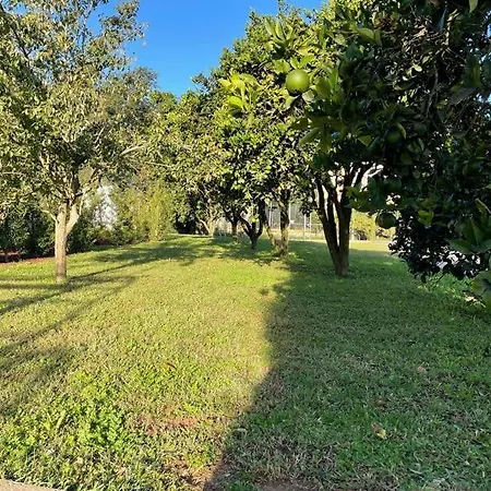 70's Wood House Villa *