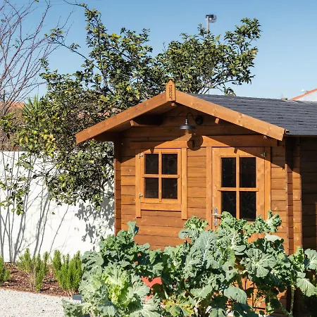 70's Wood House * Maía