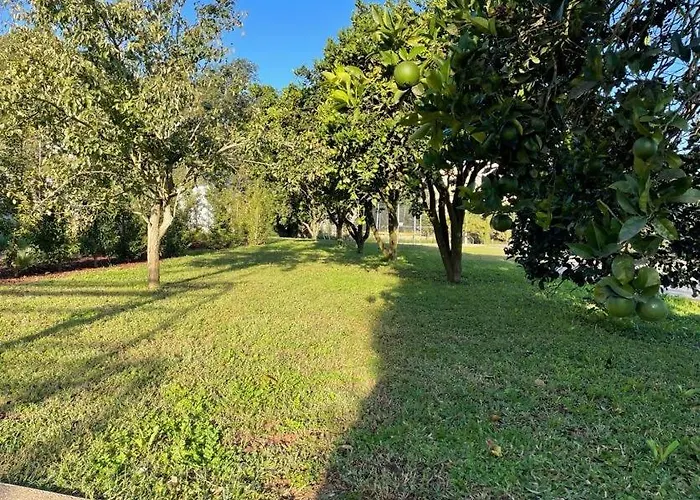 70's Wood House Villa *