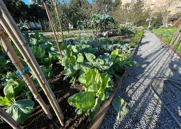 70's Wood House Βίλα