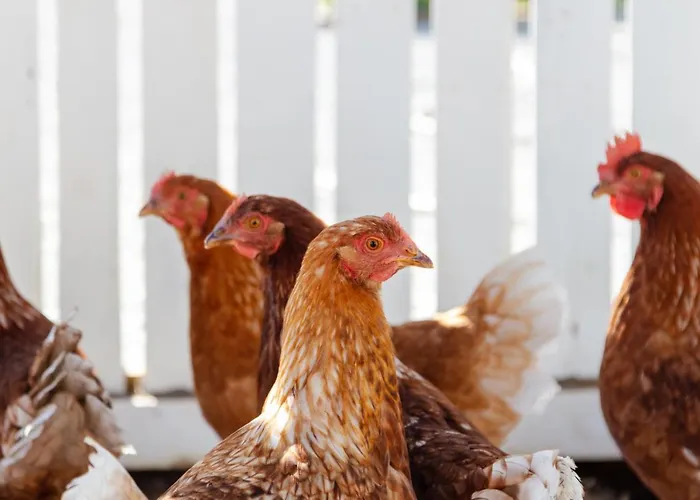 70's Wood House Βίλα *